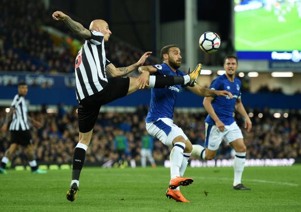 能与这位意 能与这位意